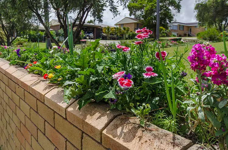 Third view of Homely house listing, 48 ROBERTS DRIVE, South Grafton NSW 2460