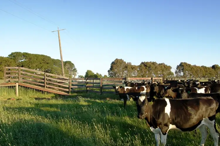 Sixth view of Homely rural property listing, Address available on request