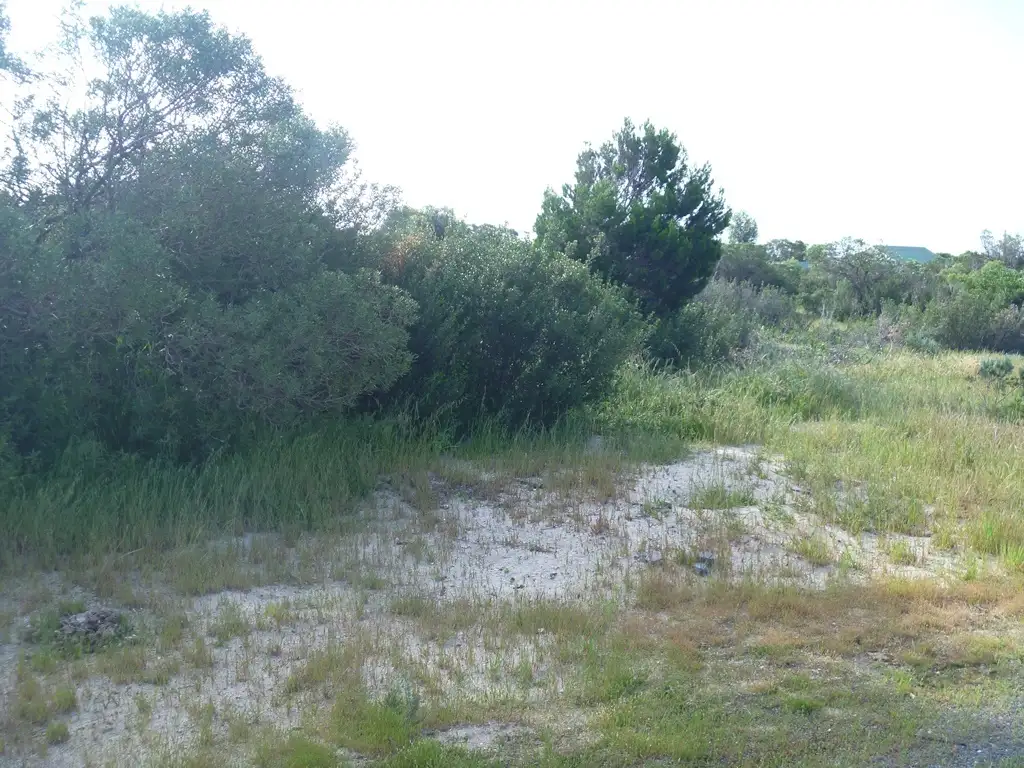 Main view of Homely land listing, 3 Gull Court, Thompson Beach SA 5501