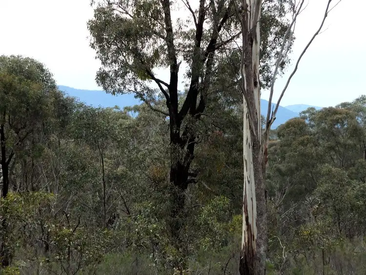 Fourth view of Homely land listing, Lot 1-TP512056 Pyrenees Highway, Avoca VIC 3467
