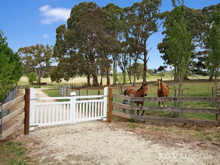 Fourth view of Homely rural property listing, 193 Toms Gully Road, Black Mountain, Armidale NSW 2350