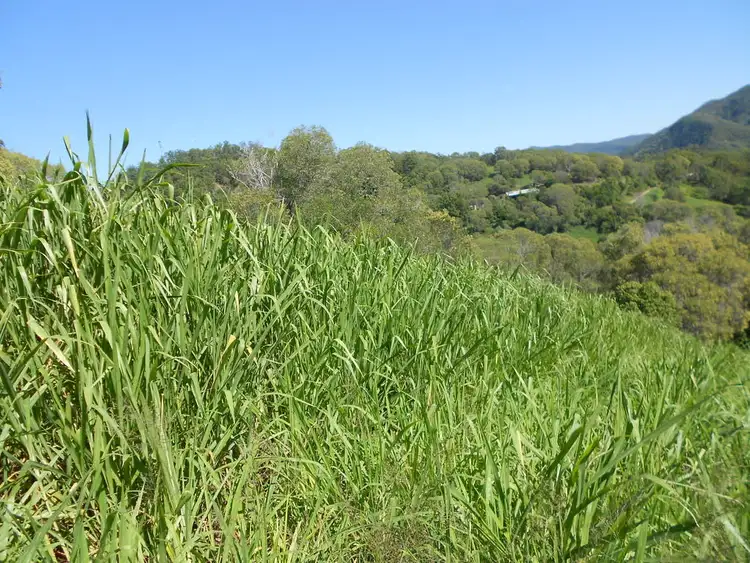 Sixth view of Homely land listing, 46 Elizabeth St, Imbil QLD 4570