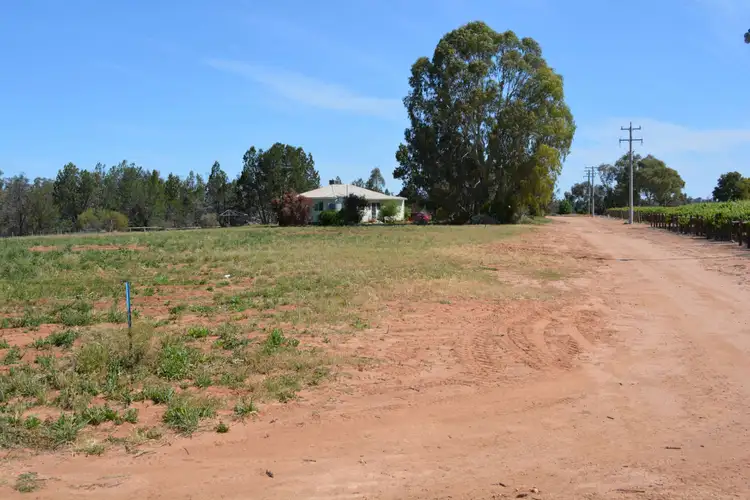 Seventh view of Homely rural property listing, Lot 1 464B River Road, Coomealla NSW 2717