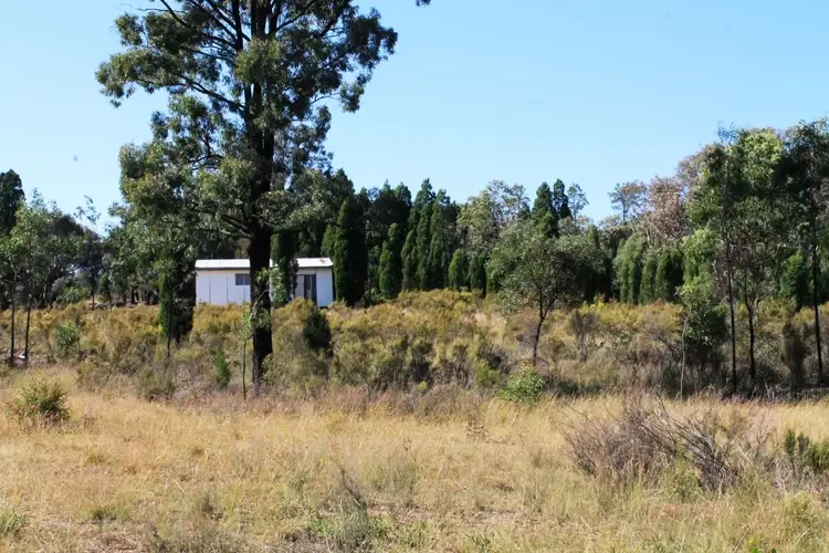 Sixth view of Homely rural property listing, 797 Ridge Rd, Mudgee NSW 2850