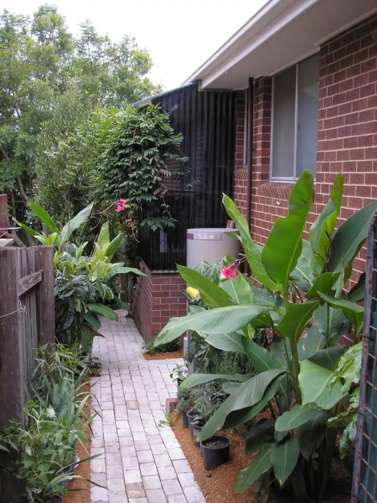 Fifth view of Homely house listing, 87 Lynjohn Drive, Bega NSW 2550