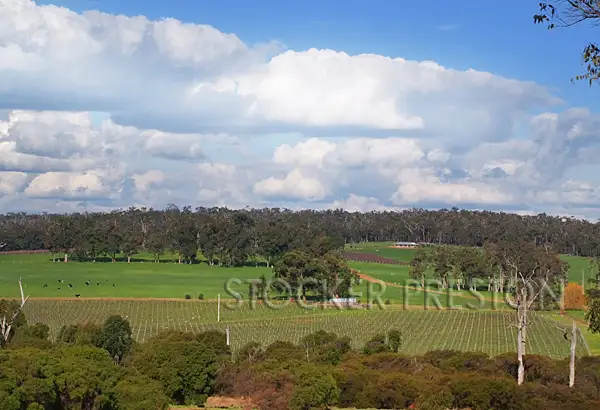 Second view of Homely rural property listing, 13 Mitchell Road, Rosa Brook, Margaret River WA 6285