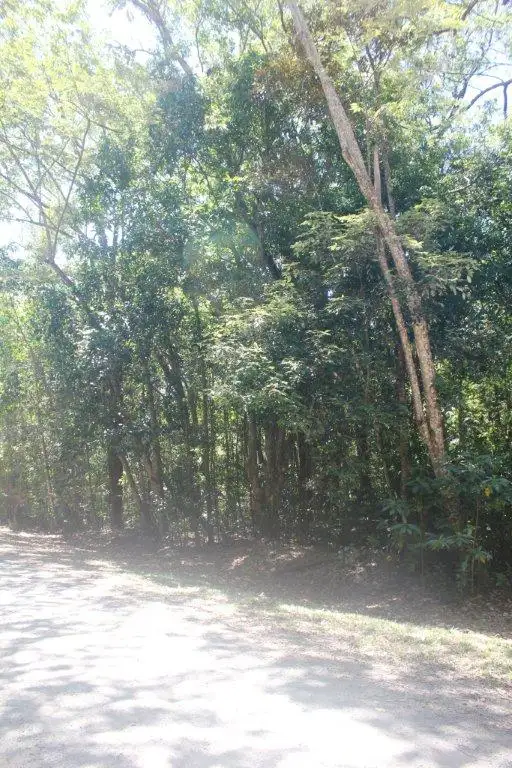 Third view of Homely land listing, 195 Bloodwood Road COW BAY, Daintree QLD 4873