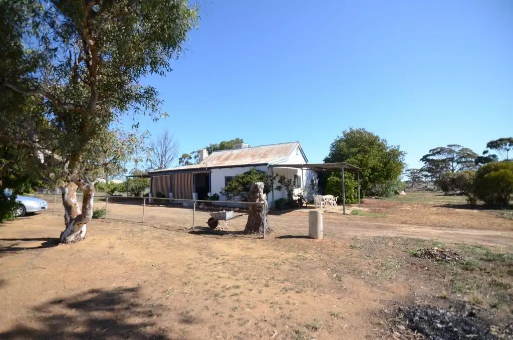 Main view of Homely house listing, 45 McConnell St, Pithara WA 6608