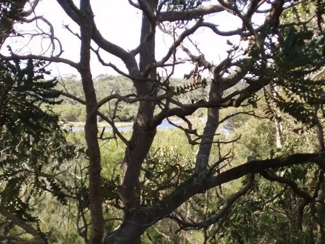 Second view of Homely land listing, 74 Dalton Way, Molloy Island WA 6290