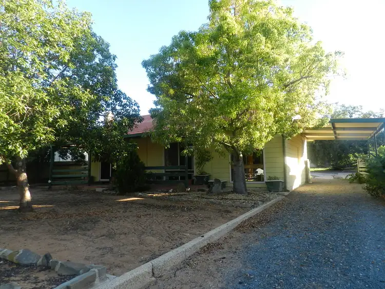 Main view of Homely house listing, 4 Waltham Street, Berri SA 5343