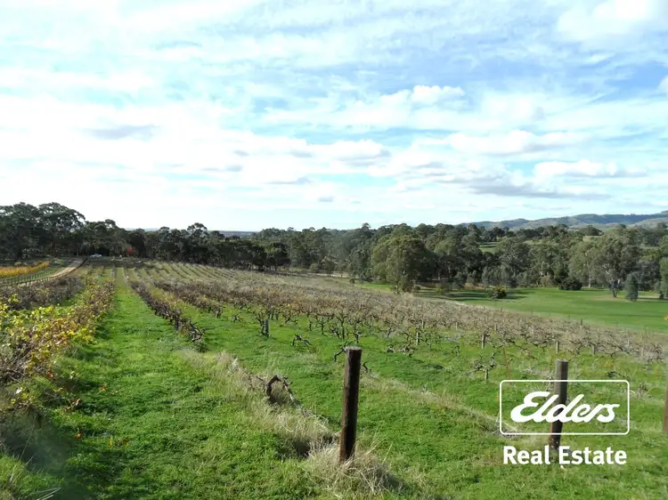 Lot 98 Needles Road, Williamstown SA 5351