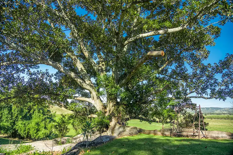 Fifth view of Homely house listing, 1077 Bangalow Road, Bexhill NSW 2480