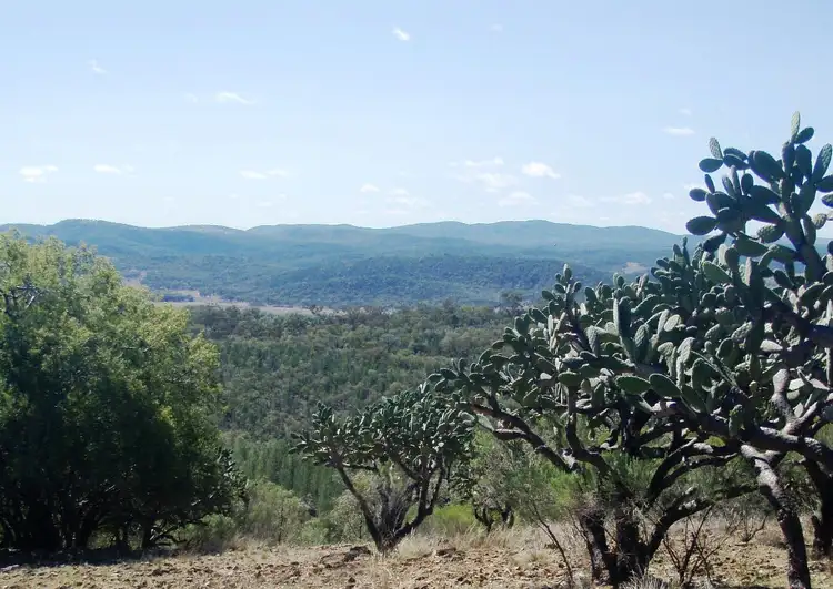 Third view of Homely rural property listing, Lot 6 Bedwell Downs Road, Yetman NSW 2410