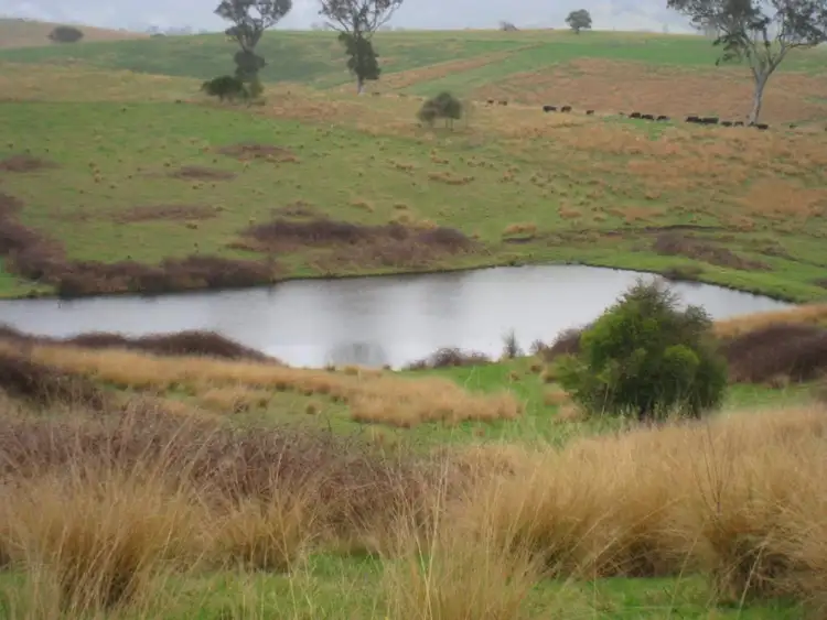 Fourth view of Homely land listing, Lot 422 Towridgee Lane, Candelo NSW 2550