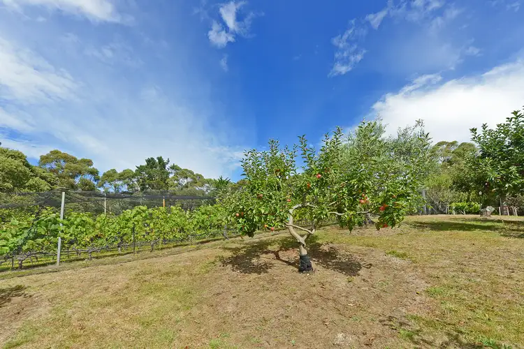 Sixth view of Homely house listing, 204 Sandfly Road, Margate TAS 7054