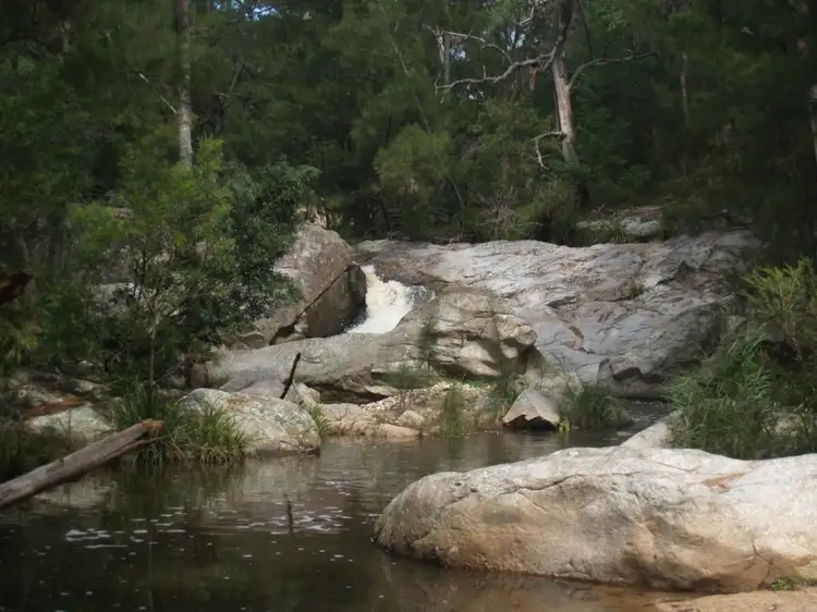 Fifth view of Homely rural property listing, 79 Blanchards Rd, Brogo NSW 2550
