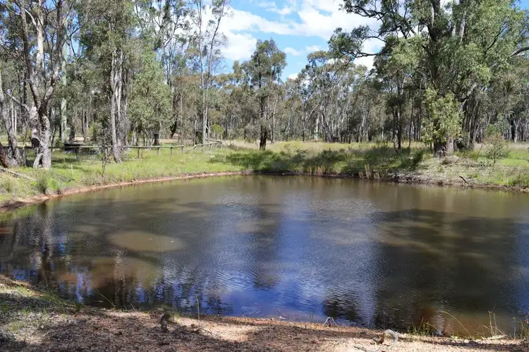 Second view of Homely rural property listing, 259 Wonga Roo Road, Gulgong NSW 2852