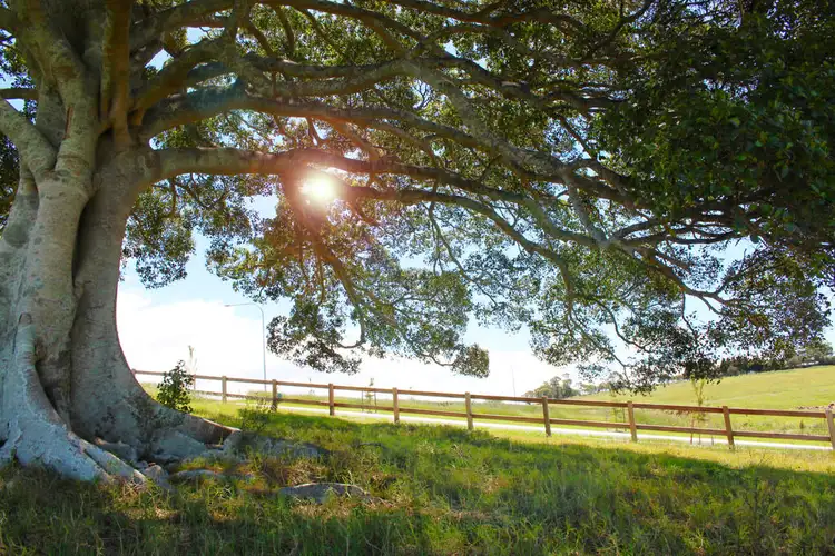 Fifth view of Homely land listing, Lot 321 Kennedy Close, Corks Hill Estate, Milton NSW 2538