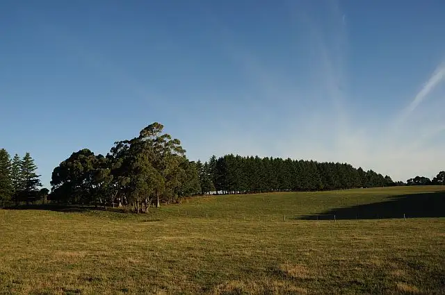 Sixth view of Homely rural property listing, Lots 1 + 2 Illawarra Highway, Burrawang NSW 2577