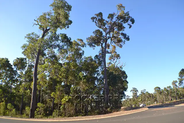 Third view of Homely land listing, 3 Timber Court, Cowaramup WA 6284