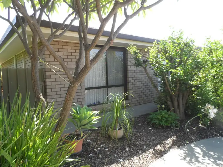 Second view of Homely unit listing, 5/7 Reginald Street, Loxton SA 5333