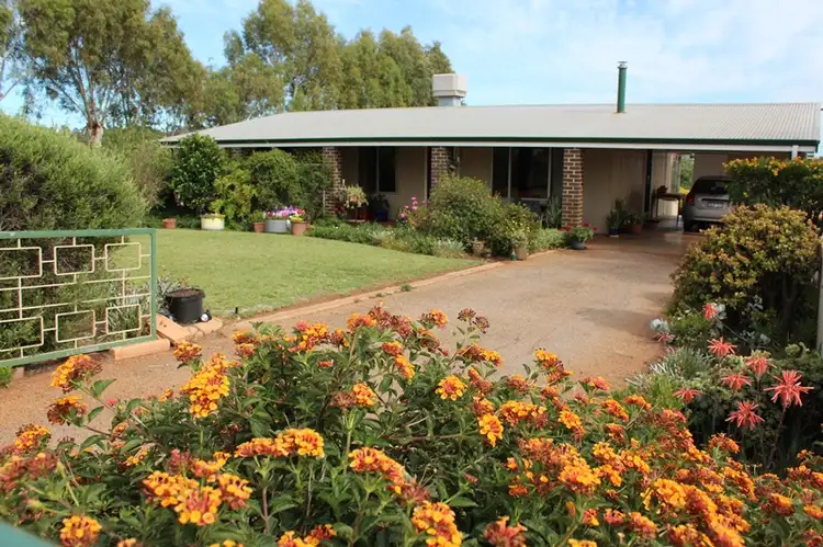 85 Withers Street, Northam WA 6401