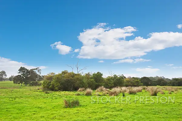 Sixth view of Homely rural property listing, P/L 101 WEST RD, Cowaramup WA 6284