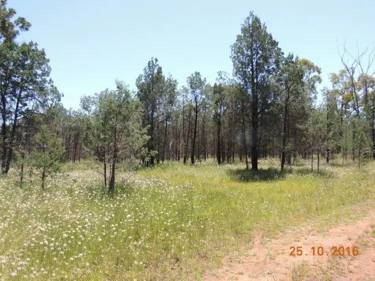 Main view of Homely house listing, Lot 134 Hotchkiss Road, Baradine NSW 2396