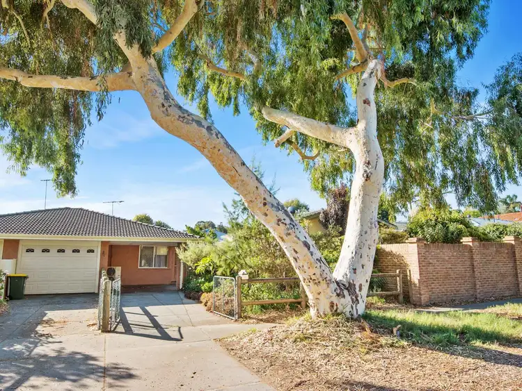 Fourth view of Homely house listing, 120 Karrinyup Road, Karrinyup WA 6018