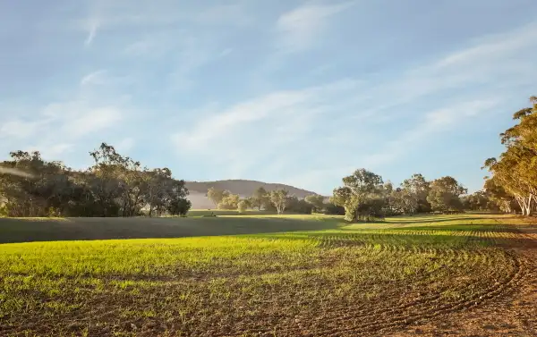 Fifth view of Homely rural property listing, 629 Sutherland Road, Cowra NSW 2794
