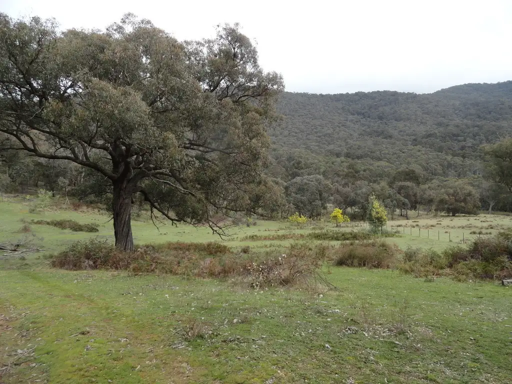 Main view of Homely rural property listing, 724 Yenschs Road, Lankeys Creek NSW 2644
