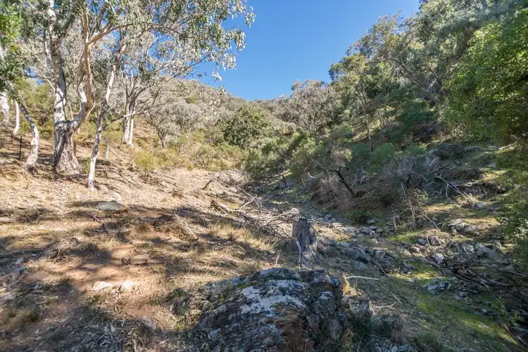 Seventh view of Homely rural property listing, Lot 52 Highland Home Road, Mudgee NSW 2850