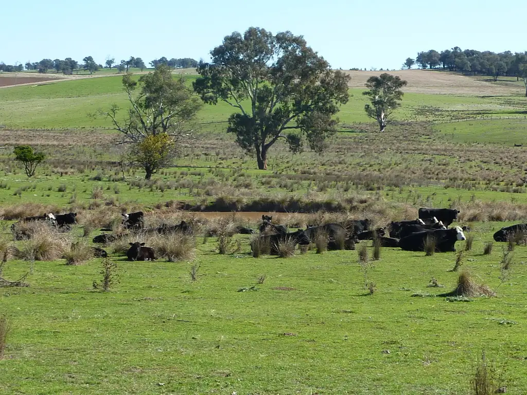 Main view of Homely rural property listing, 300 McClures lane Keajura, Wagga Wagga NSW 2650