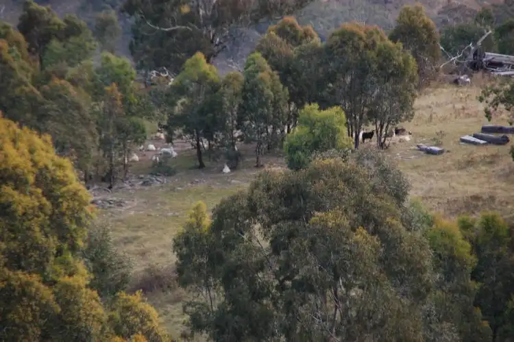 Second view of Homely rural property listing, 127 and 128 Limekilns Road, Bathurst NSW 2795