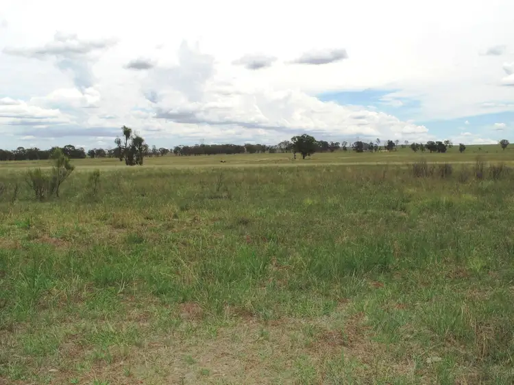 Second view of Homely rural property listing, Lot A - 405 Blue Springs Road, Mudgee NSW 2850