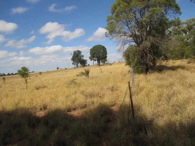 0 WALLUMBILLA NORTH ROAD, Wallumbilla QLD 4428