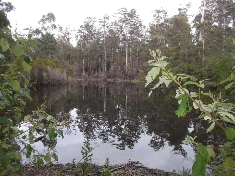 Lot 86 Karri Lane, Quinninup WA 6258