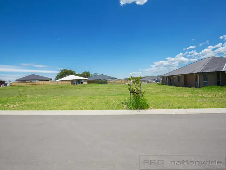 Main view of Homely land listing, 20 Threadtail Street, Chisholm NSW 2322