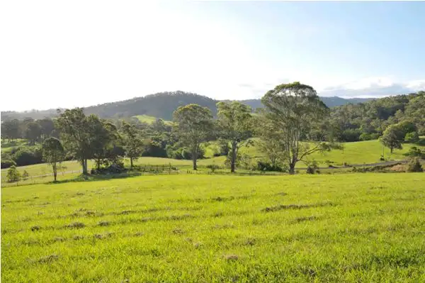Sixth view of Homely rural property listing, 102 Johnsons Creek Rd, Stroud NSW 2425