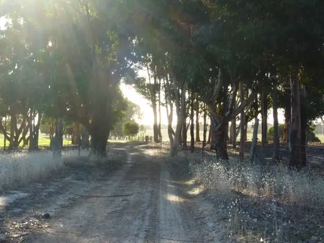 Second view of Homely rural property listing, Lot 7 Teale Road, Monjingup WA 6450