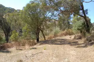 Seventh view of Homely land listing, 37 Long Gully Road, Flowerdale VIC 3658