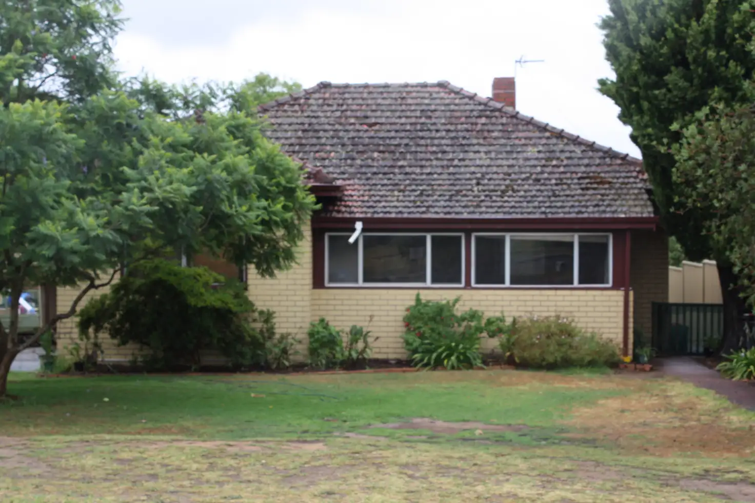 Main view of Homely house listing, 54 Graphite Road, Manjimup WA 6258