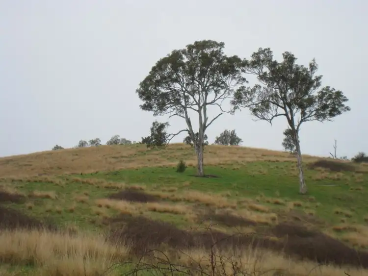 Fifth view of Homely land listing, Lot 422 Towridgee Lane, Candelo NSW 2550