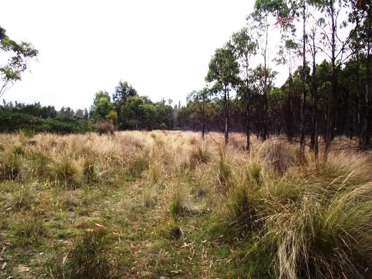 Fifth view of Homely rural property listing, 70 Blue Hills Road, Copping TAS 7174