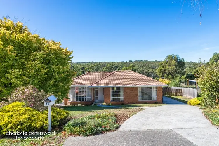 Main view of Homely house listing, 12 Mariner Circle, Huntingfield TAS 7055