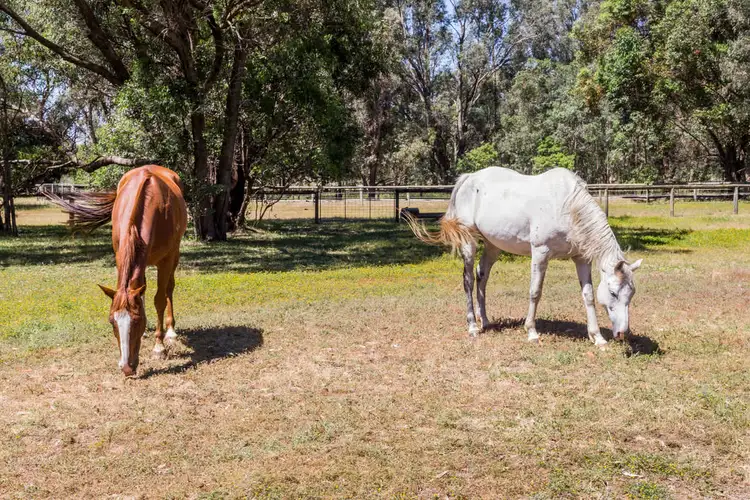 57 Blair Road, Oakford WA 6121