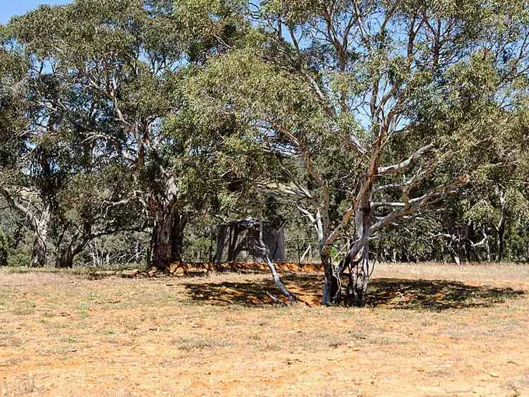 Seventh view of Homely rural property listing, Lot 2 / 379 Signal Flat Road, Ashbourne SA 5157