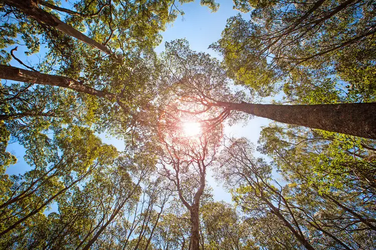 Fourth view of Homely land listing, 204 Upper Rosemount Road, Rosemount QLD 4560