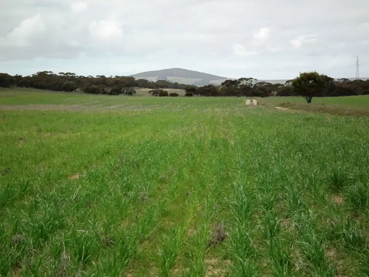 Fifth view of Homely rural property listing, Taragoro Road, Rudall, Cleve SA 5640