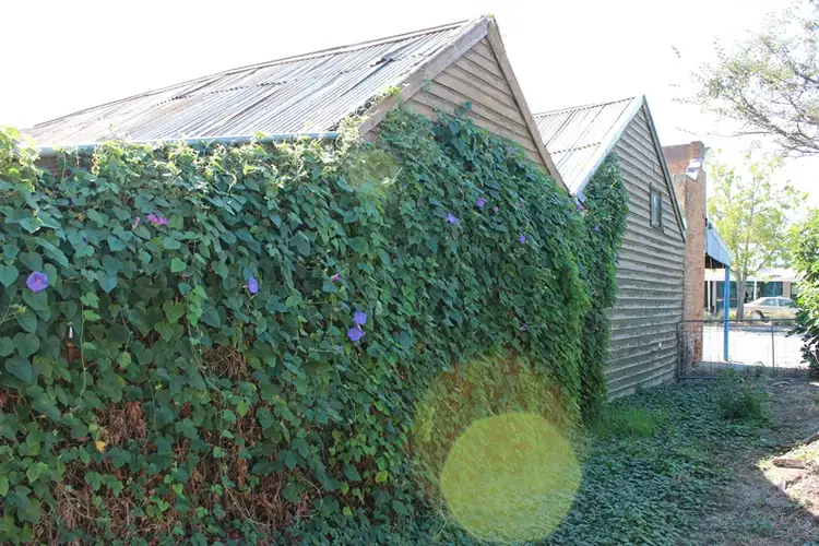 Sixth view of Homely other listing, 20 Cowslip Street, Violet Town VIC 3669